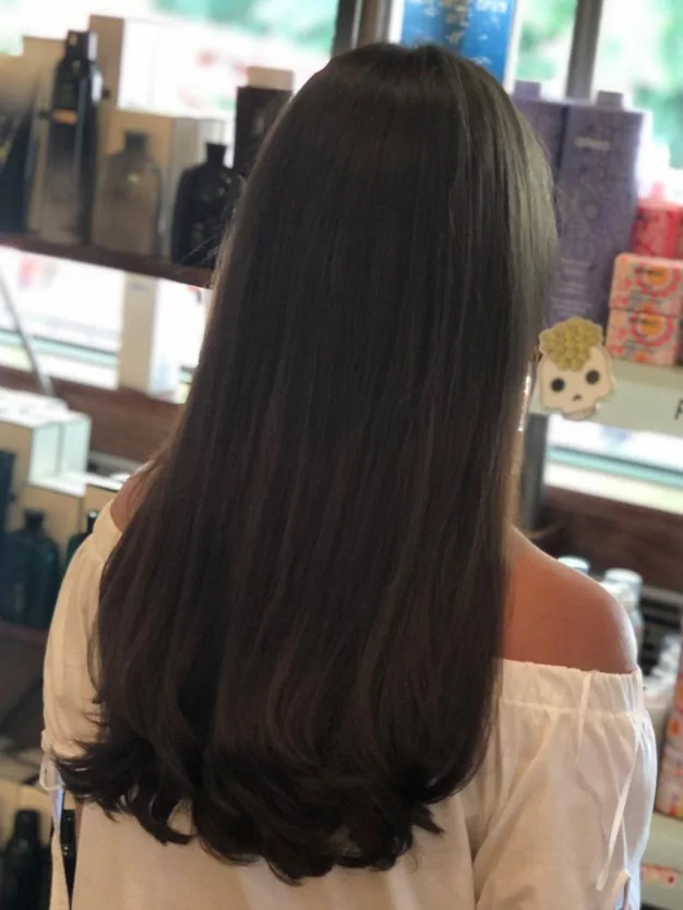 Hair color with long layers service result